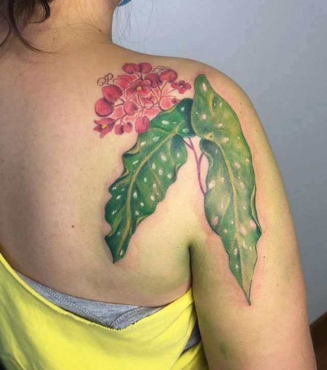 20 Pretty Begonia Tattoos Make You Charming