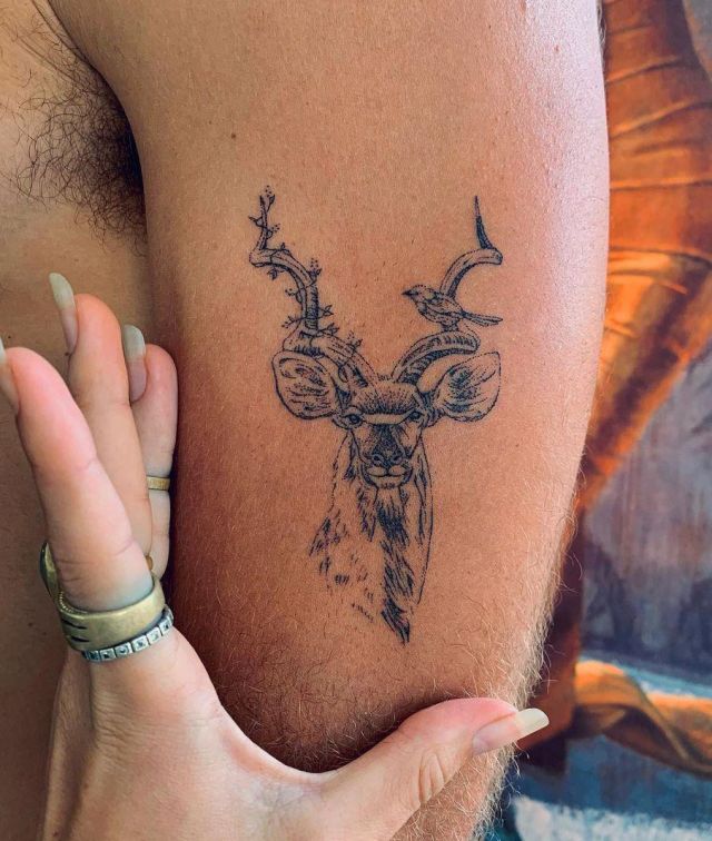 20 Elegent Kudu Tattoos Make You Charming