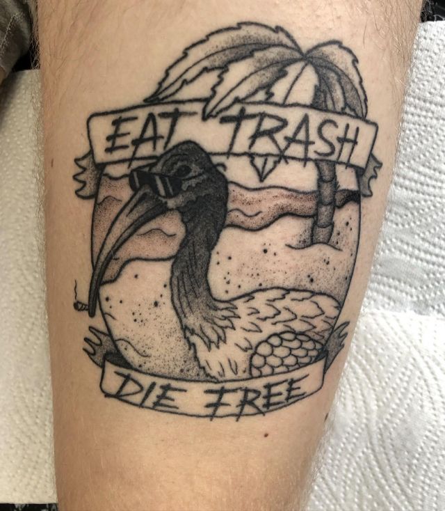 Funny Ibis Tattoo on Leg