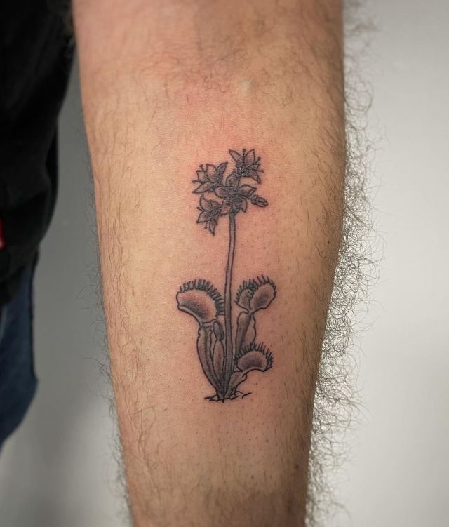 20 Incredible Venus Flytrap Tattoos for Your Inspiration
