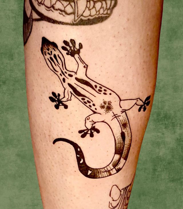 20 Cool Gecko Tattoos Make You Attractive