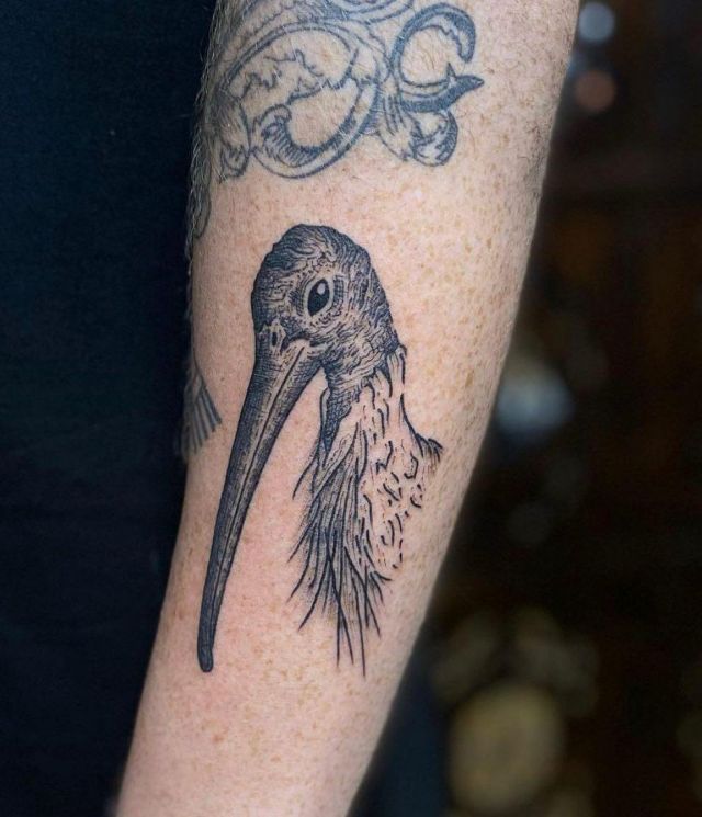 20 Awesome Ibis Tattoos You Can Copy