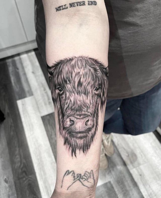 Cool Highland Cow Tattoo on Arm