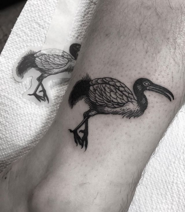 Cute Ibis Tattoo on Ankle