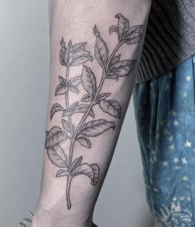 20 Elegant Mint Tattoos Make You Charming