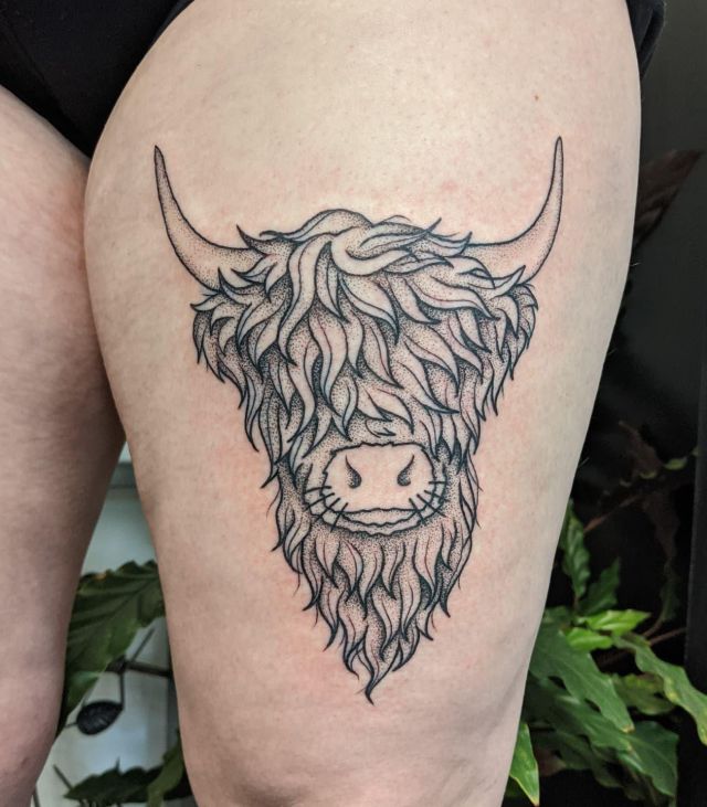 Wonderful Highland Cow Tattoo on Thigh