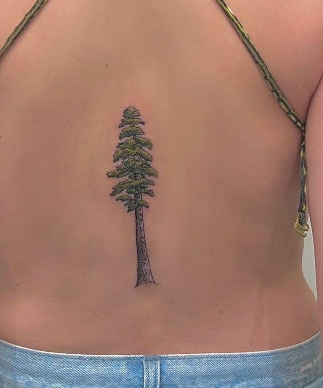 Beautiful Sequoia Tree Tattoo on Back