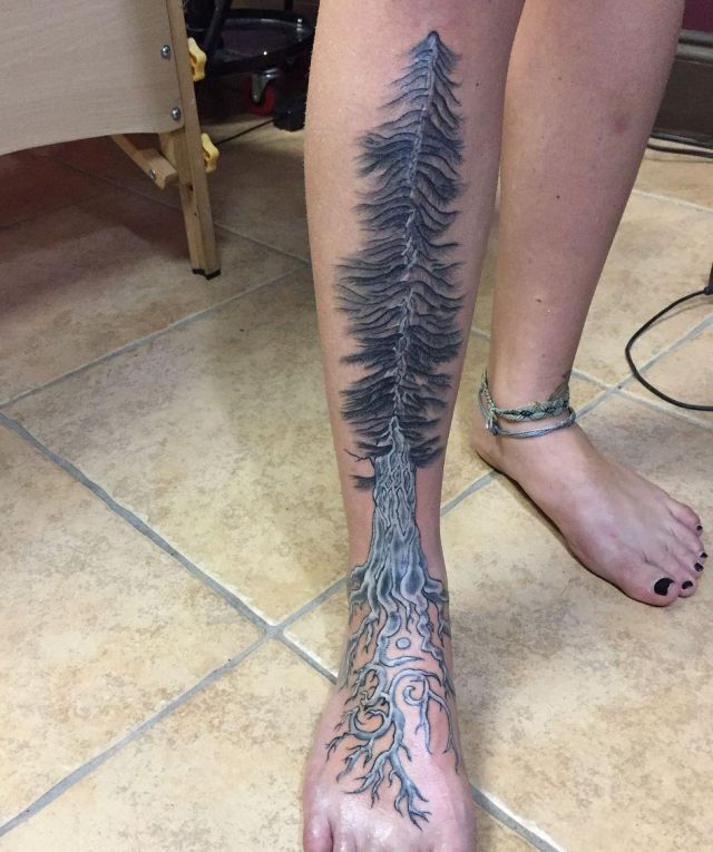 20 Pretty Sequoia Tree Tattoos You Will Love