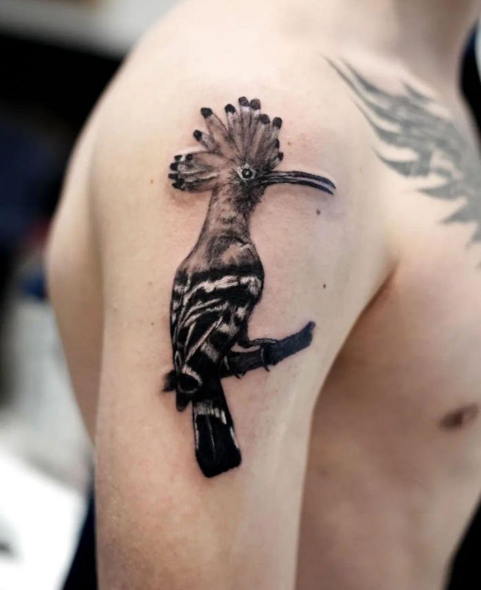 Unique Hoopoe Tattoo on Shoulder