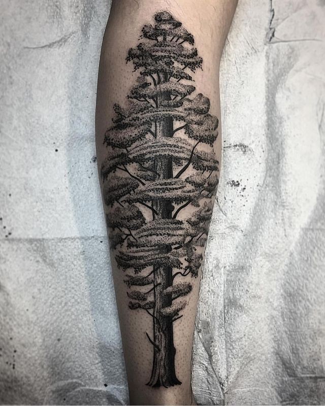 Unique Sequoia Tree Tattoo on Leg