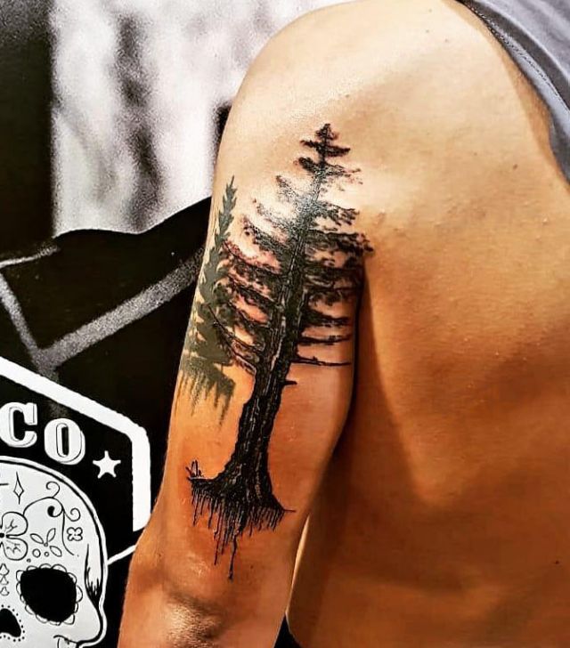 Unique Sequoia Tree Tattoo on Upper Arm