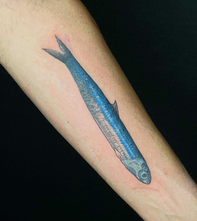 Blue Anchovy Tattoo on Arm
