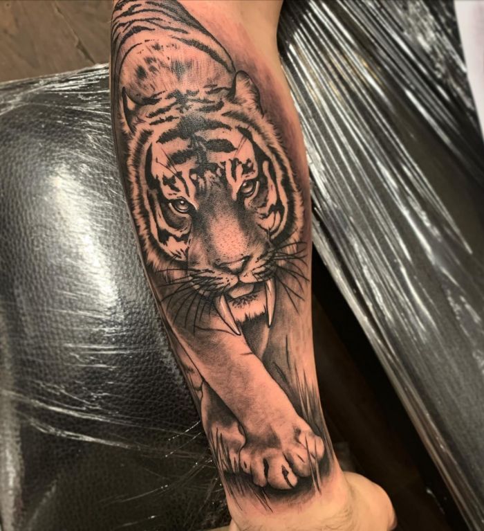 10 Cool Saber Tooth Tiger Tattoos for Your Inspiration