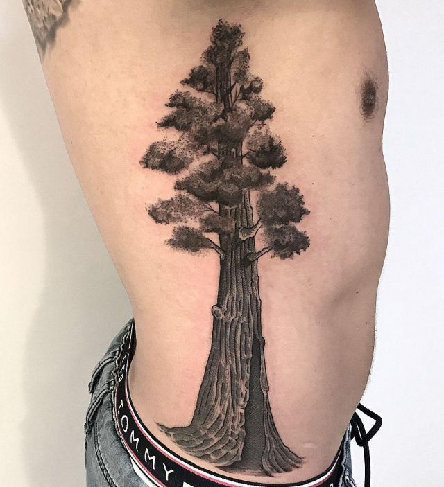 Great Sequoia Tree Tattoo on Side Body