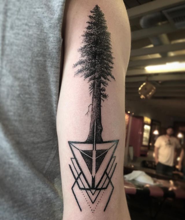 Geometry Sequoia Tree Tattoo on Upper Arm