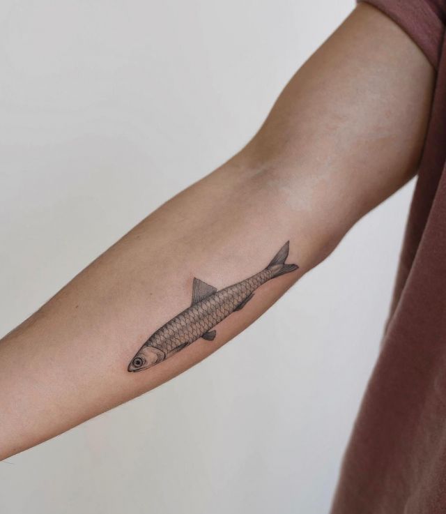 Realistic Anchovy Tattoo on Forearm