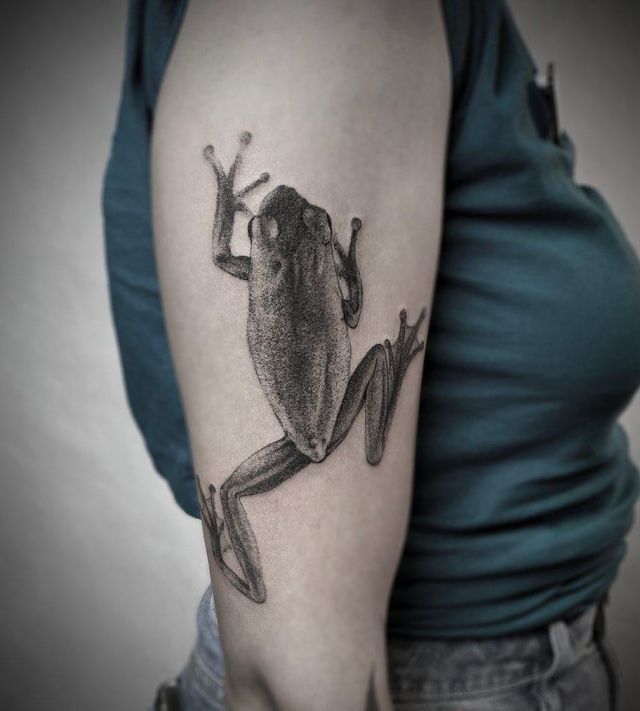 Grey Tree Frog Tattoo on Upper Arm